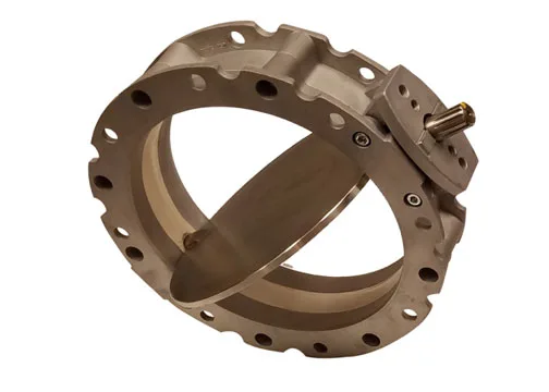 BV 2 Ball Vibrator